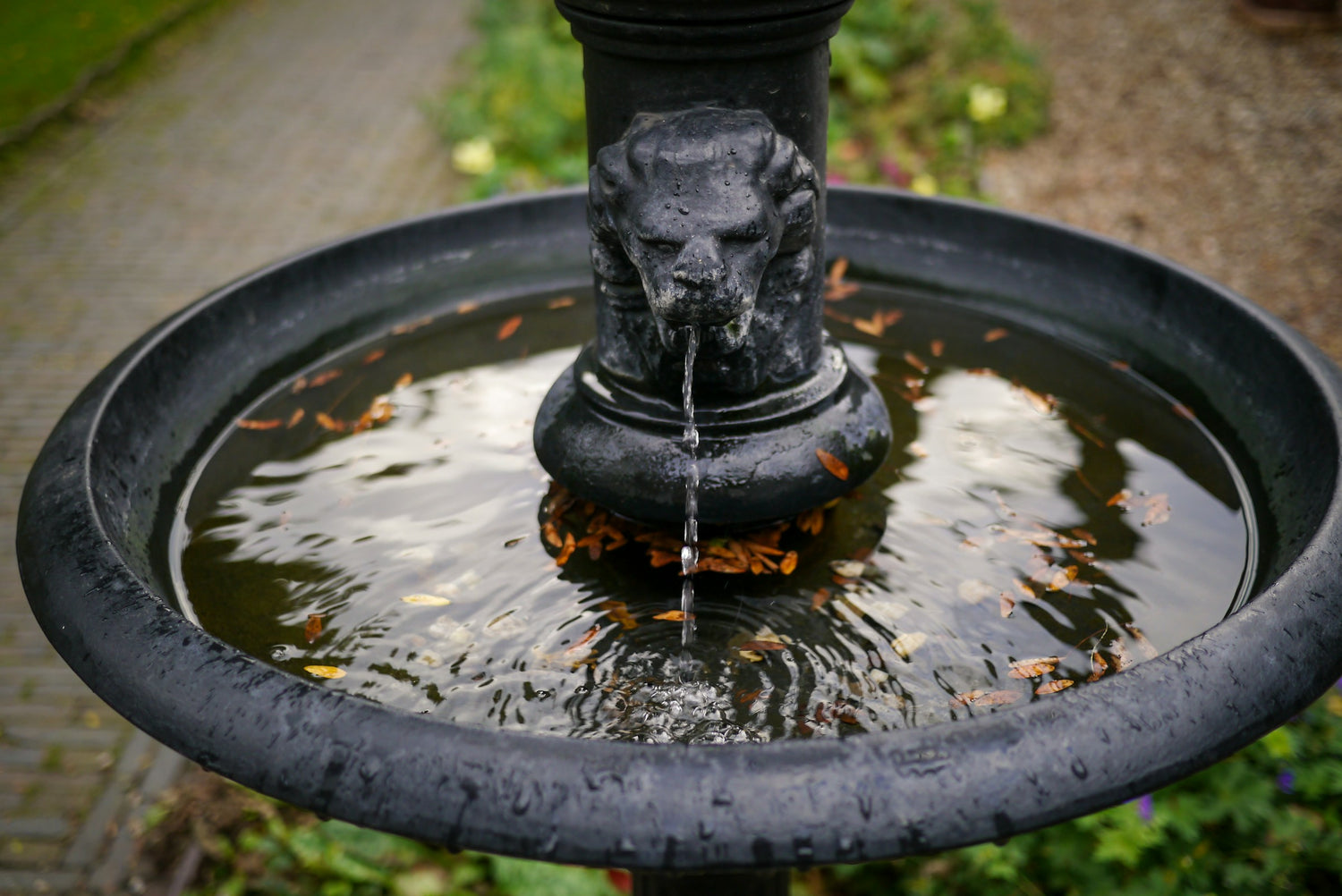 Water Features