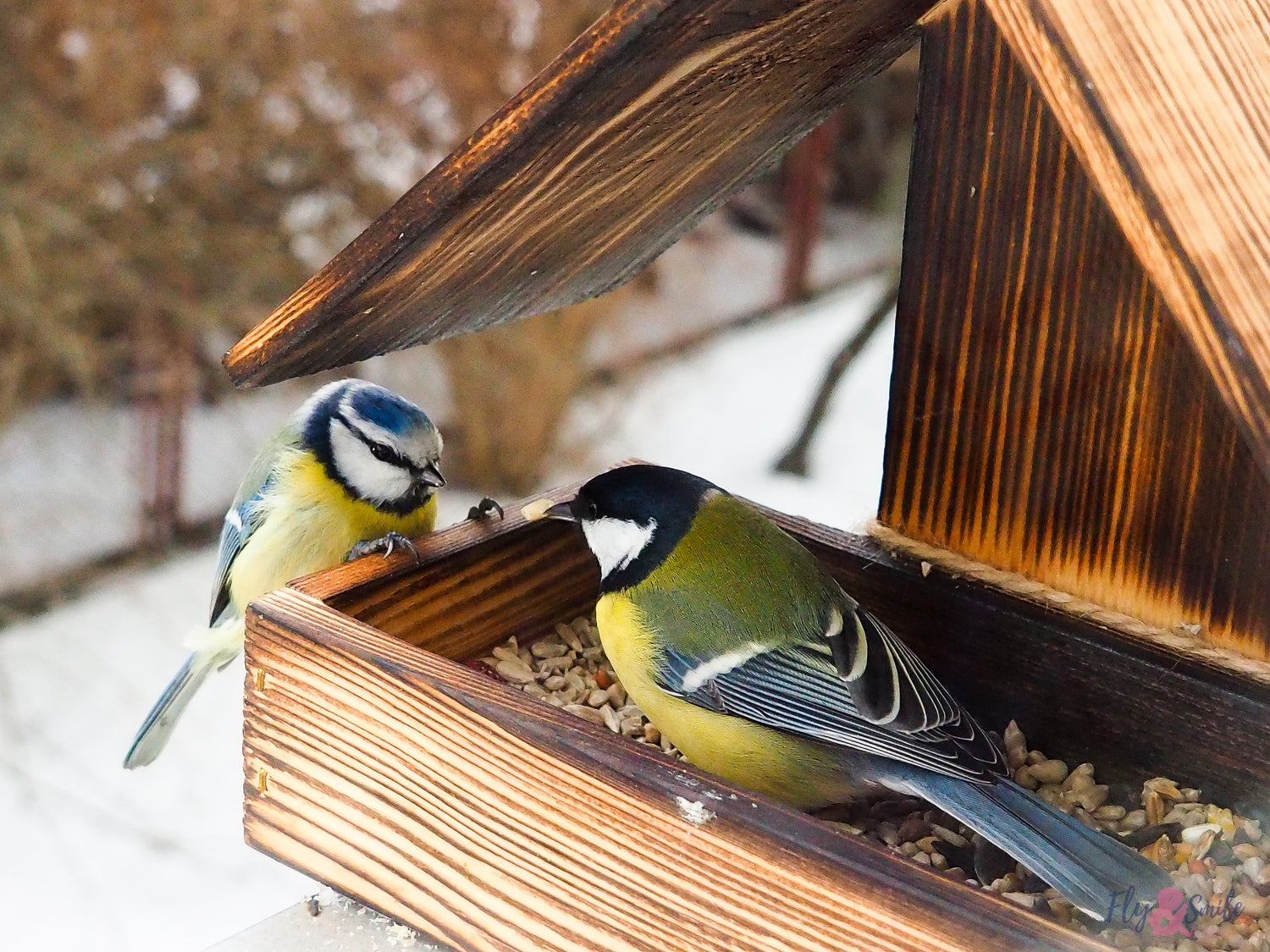 Bird Baths & Feeders