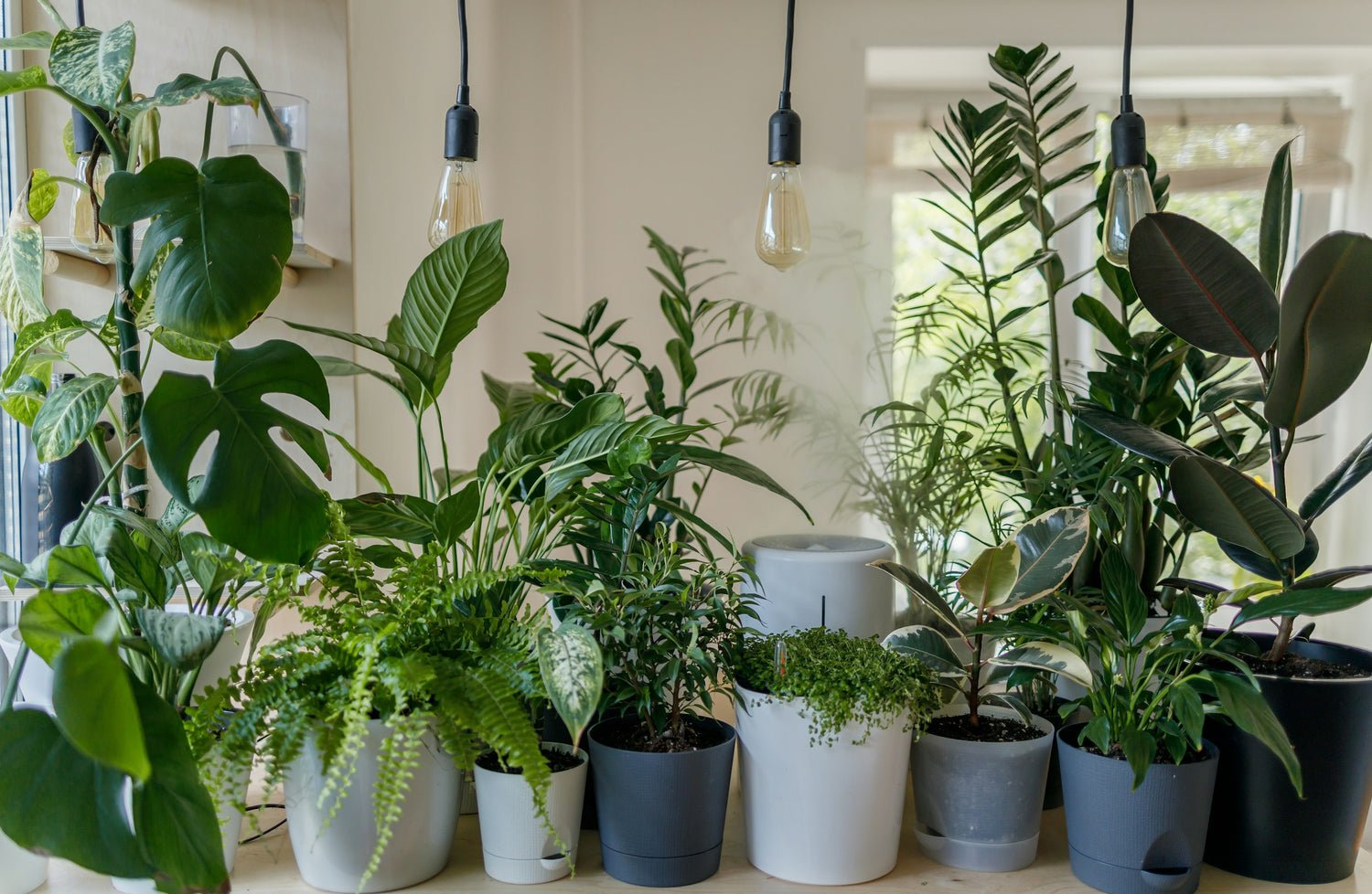 Pots & Planter Boxes